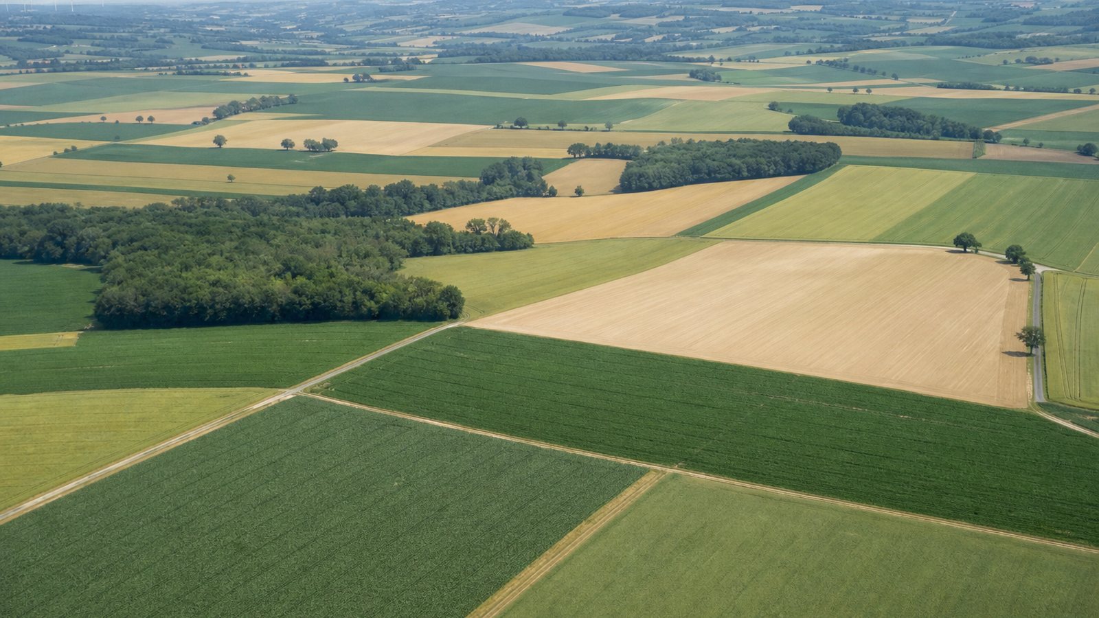 Vue de parcelles agricoles délimitées, chacune suivie séparément dans le registre des traitements